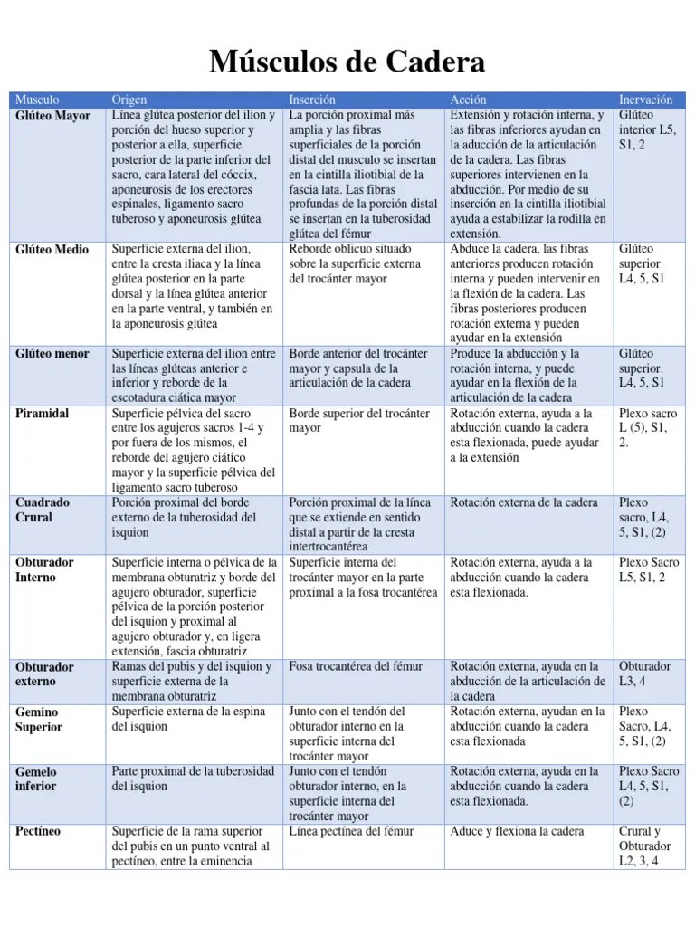 Músculos De Cadera | PDF | Extremidades (anatomía) | Anatomía Del Miembro Inferior