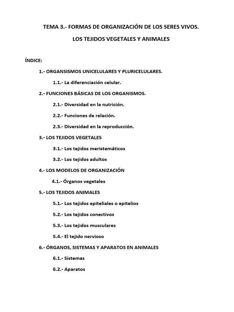 Tema - 3 - 14-15.organización Seres Vivos - Tejidos Vegetales Y Animales | PDF | Tallo De La ...