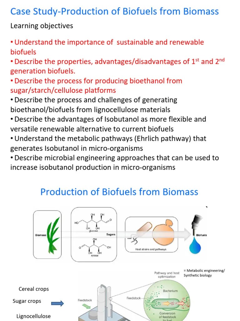 Part 5 Biofuels | PDF | Biofuel | Biorefinery