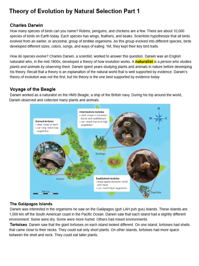Theory Of Evolution By Natural Selection Part 1 | PDF | Genetic Variation | Natural Selection