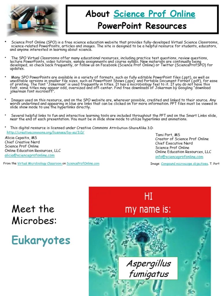 Types Eukaryotic Microbes Microbiology Lecture PowerPoint VMCCT | PDF | Fungus | Malaria