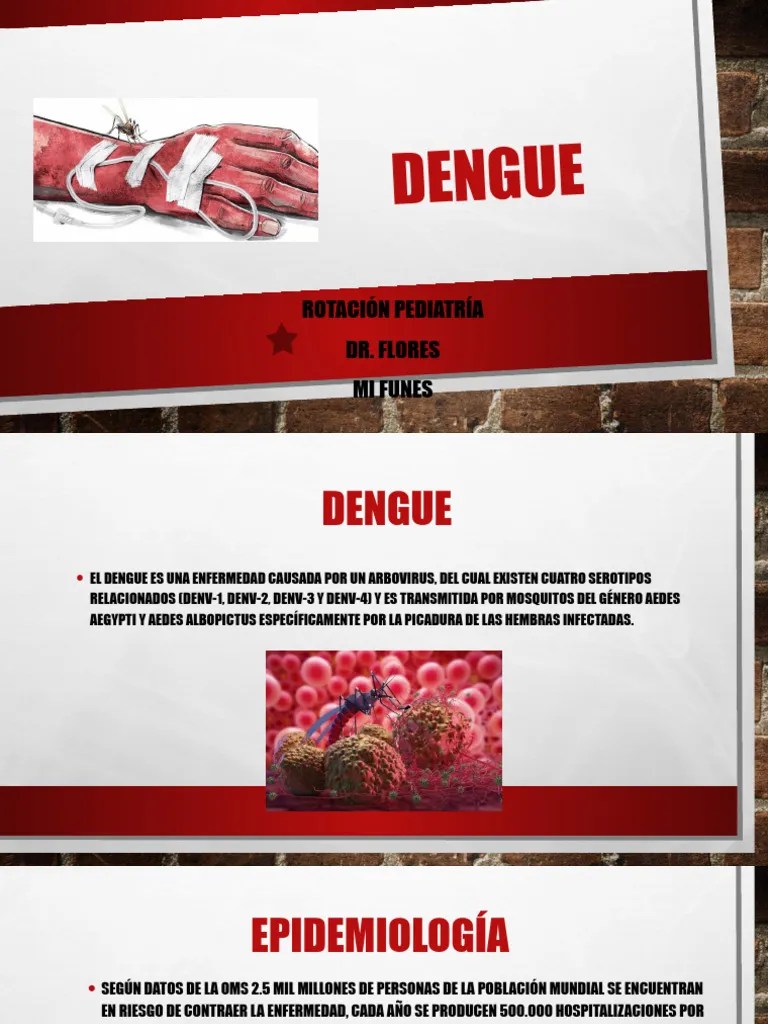 Dengue, Zika Y Chikungunya 2023 | Descargar Gratis PDF | Fiebre Del ...