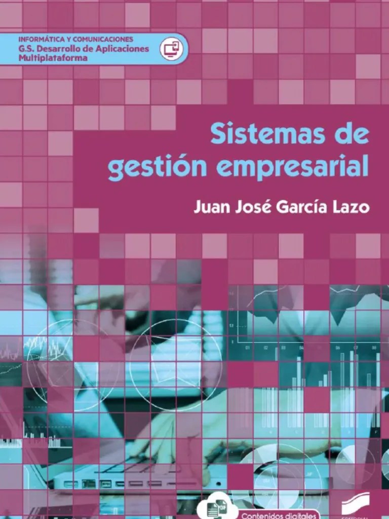 Sistemas De Gestion Empresarial - LIBRO | PDF