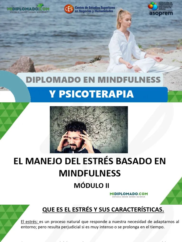 El Manejo De Estres Basado En Mindfulness | PDF | Estrés (biología) | Las Emociones
