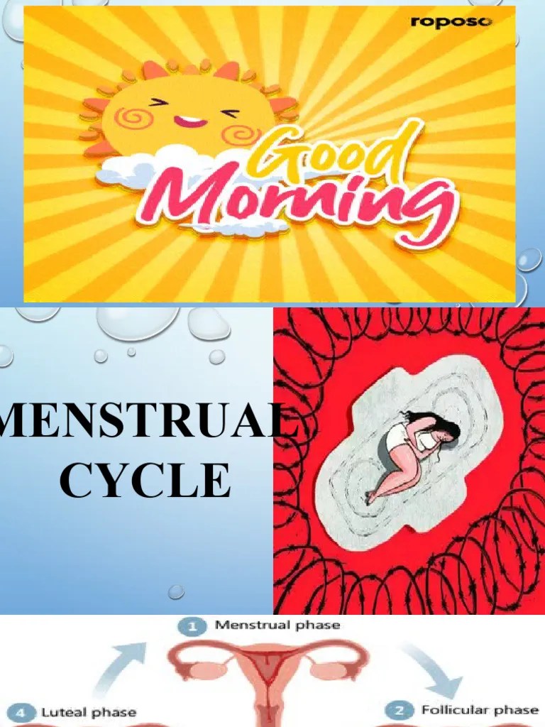 Menstrual Cycle | PDF | Menstrual Cycle | Luteinizing Hormone