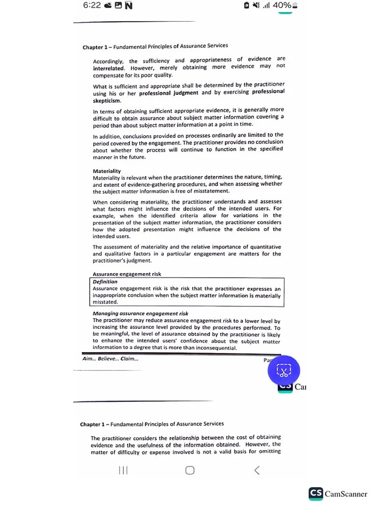 Chapter One Audit & Assurance Principles | PDF