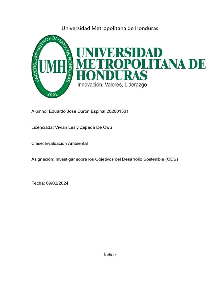 Investigacion Sobre Los Objetivos Del Desarrollo Sostenible (ODS) | PDF | Sustentabilidad ...