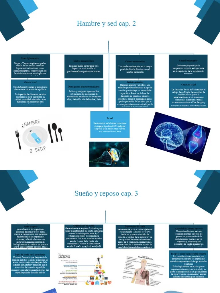 Plantilla Motivacion | Descargar Gratis PDF | Las Emociones | Dormir
