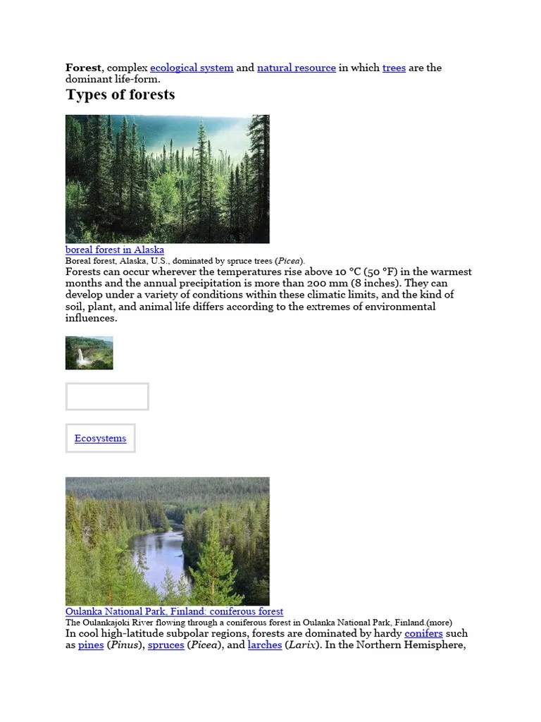 Forest | PDF