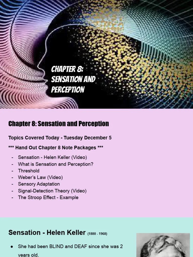 Chapter 8 Sensation And Perception | PDF | Senses | Perception