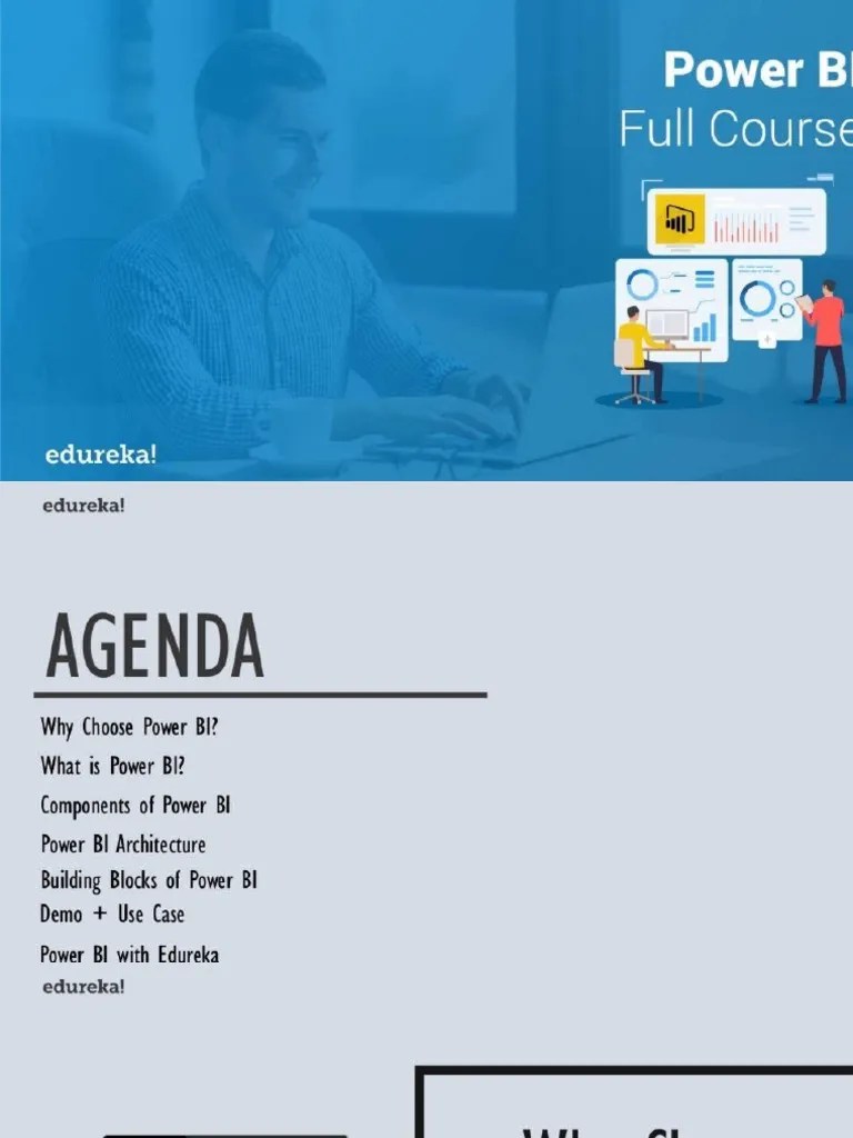 Data Analysis PowerBI | PDF