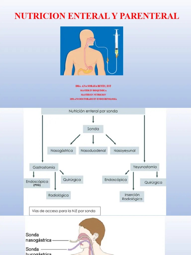 Nutricion Enteral Y Parenteral | PDF