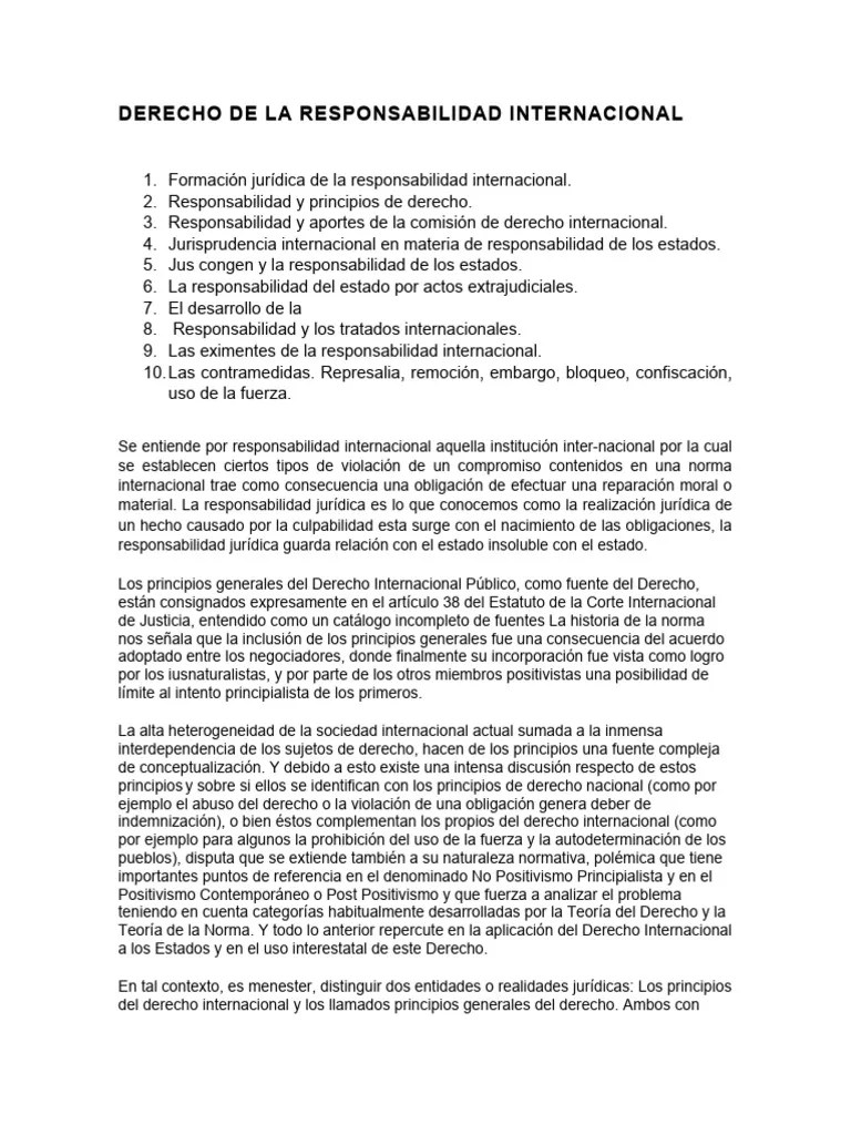 Derecho De La Responsabilidad Internacional | PDF