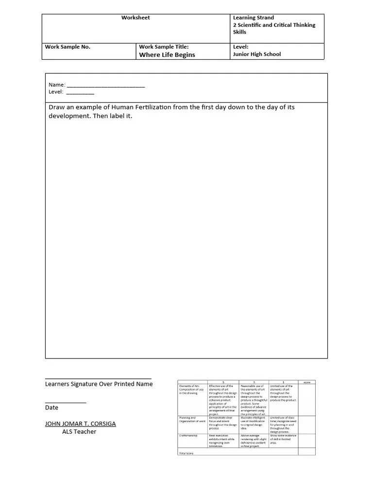 Fertilization Worksheet | PDF | Fertilisation | Flowers