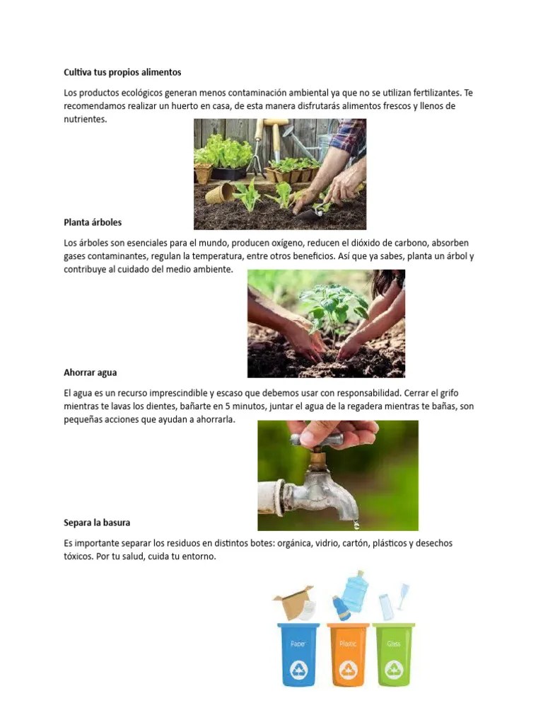 Cultiva Tus Propios Alimentos | PDF