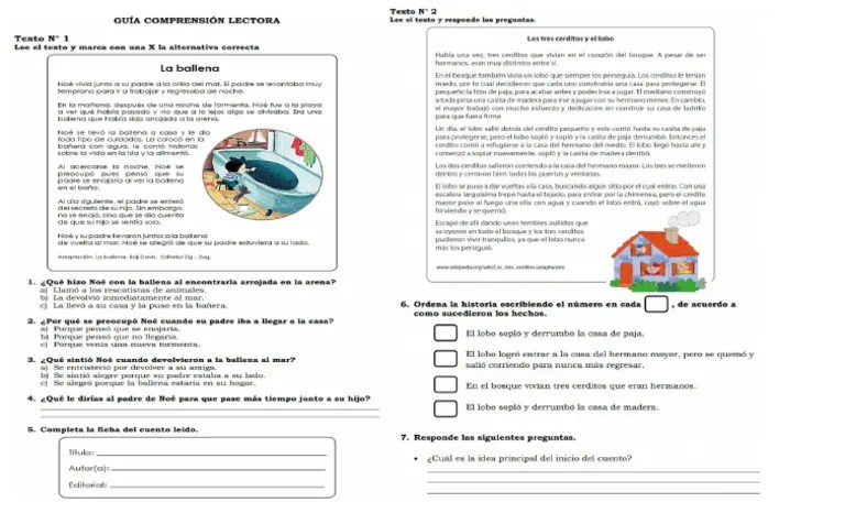 Guia Comprensión Lectora 6 Básico | PDF