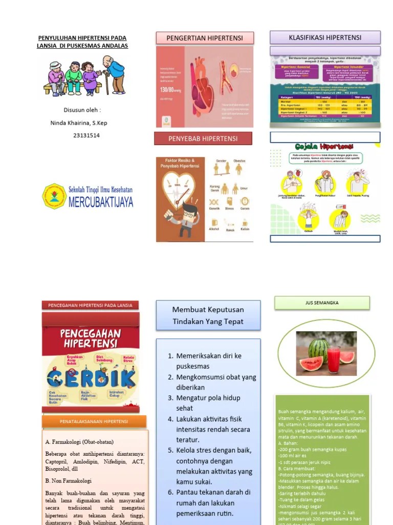 Penyuluhan Hipertensi Pada Lansia Di Puskesmas Andalas | PDF