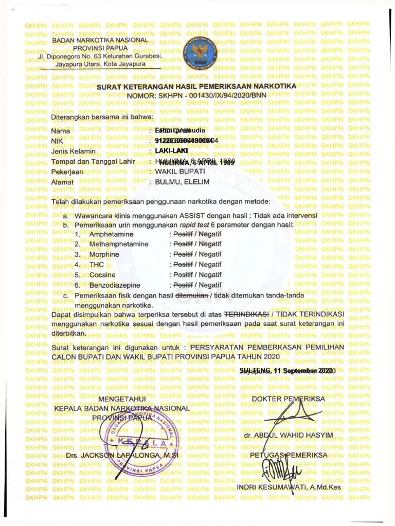 Surat Keterangan Hasil Pemeriksaan Narkotika SKHP Nomor - SKHPN - Ix - 94 - 2020 - BNN HPN SKHPN ...