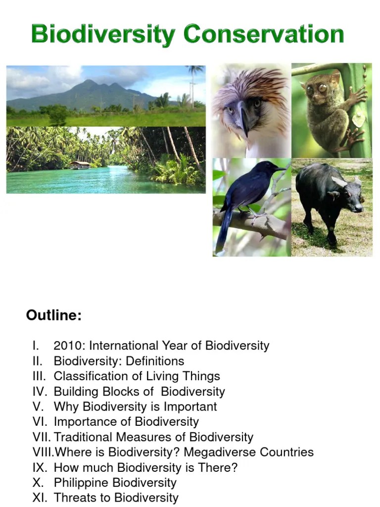 Biodiversity Conservation | PDF | Biodiversity | Conservation Biology