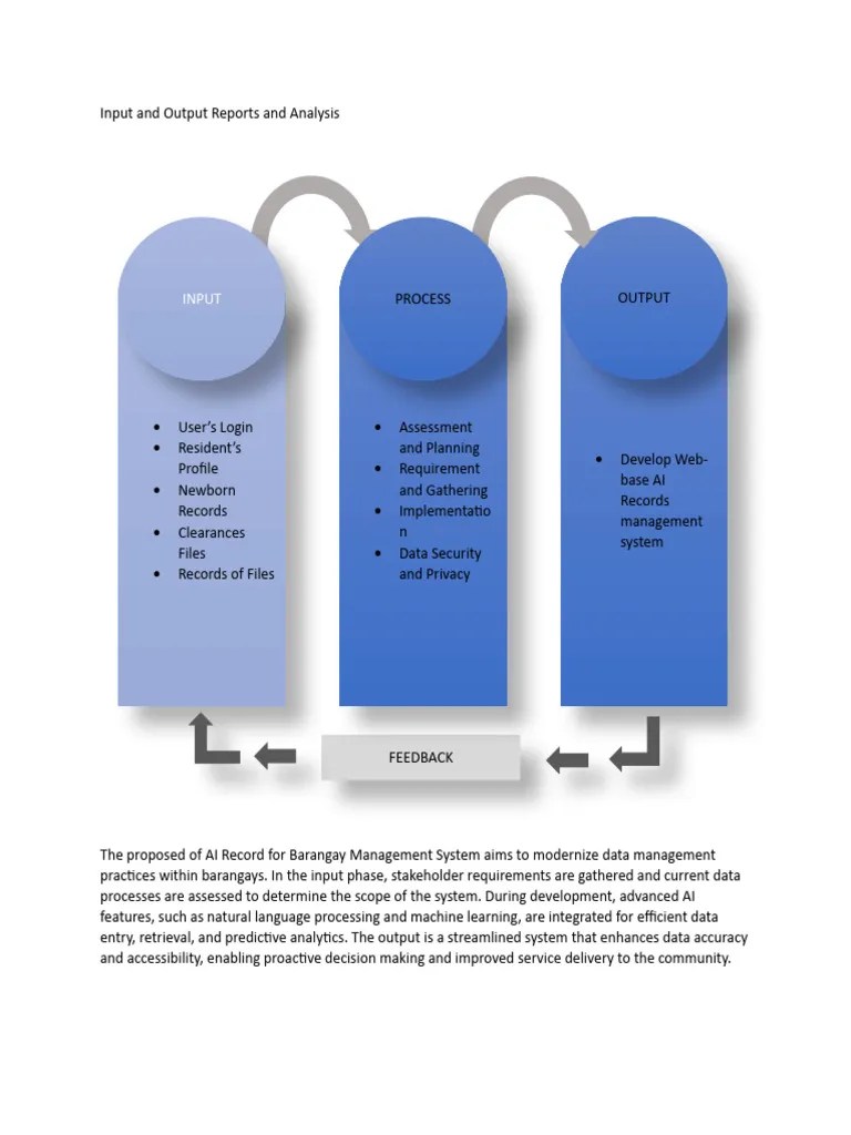 Input And Output Reports And Analysis | PDF