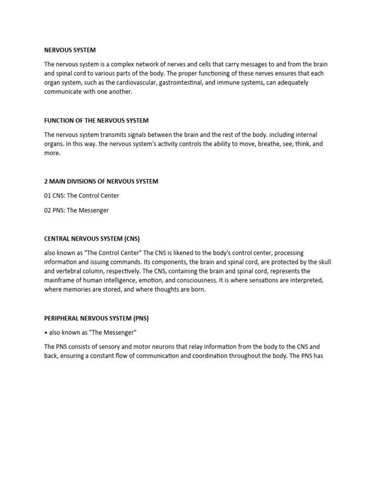 Nervous System | PDF | Nervous System | Central Nervous System