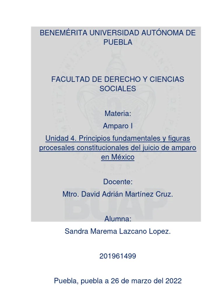 Act.4Los Principios Fundamentales Del Juicio De Amparo | PDF ...
