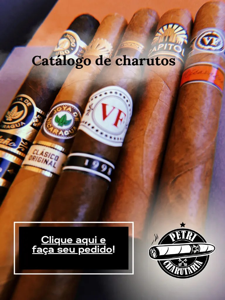 Catálogo Petri 2024 | PDF