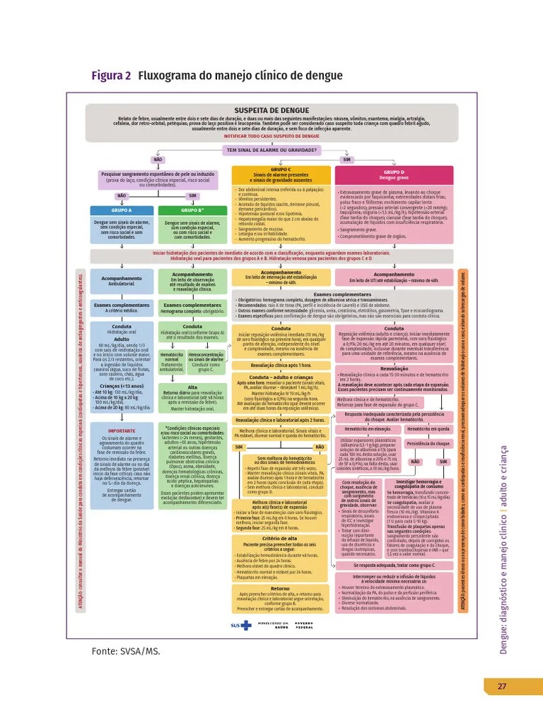 Dengue Diagnostico E Manejo Clinico Adulto E Crianca | PDF | Choque ...