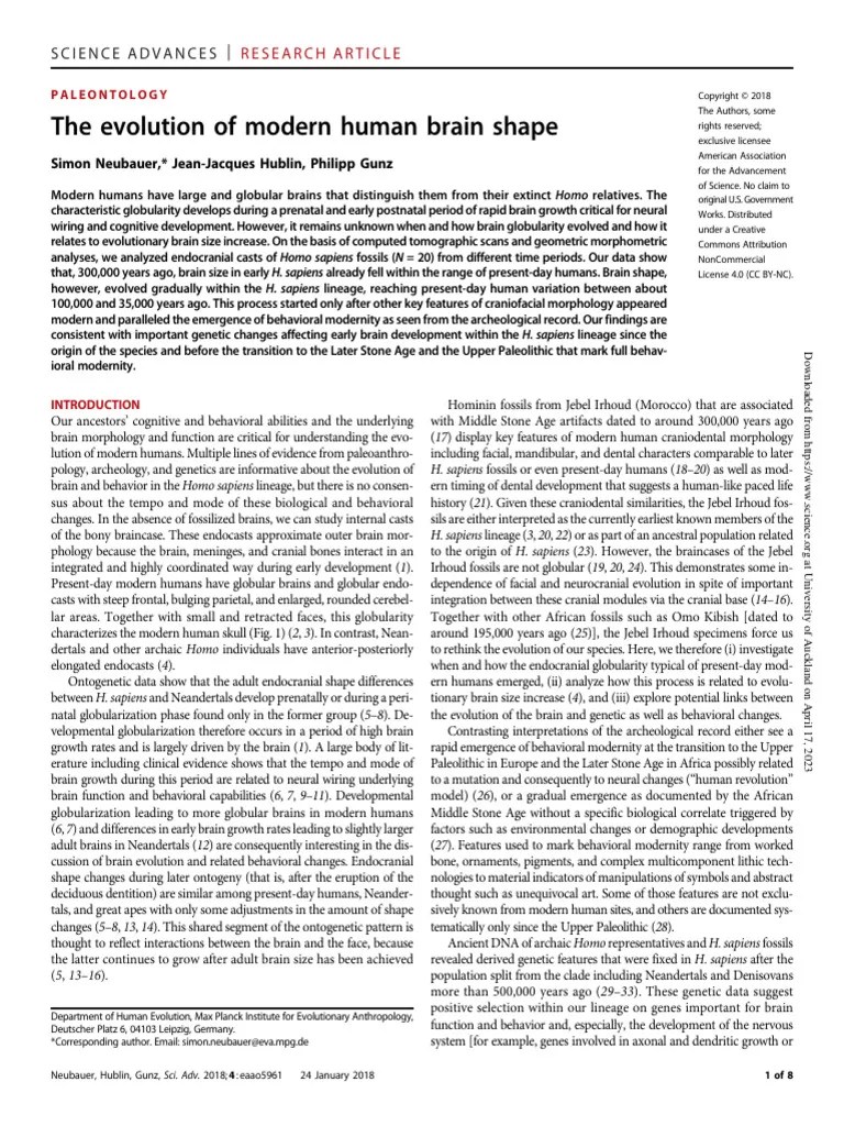The Evolution Of Modern Human Brain Shape | PDF | Human | Homo