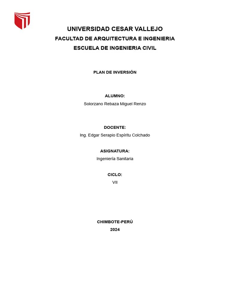 Plan De Inversion | PDF | Planificación | Economias