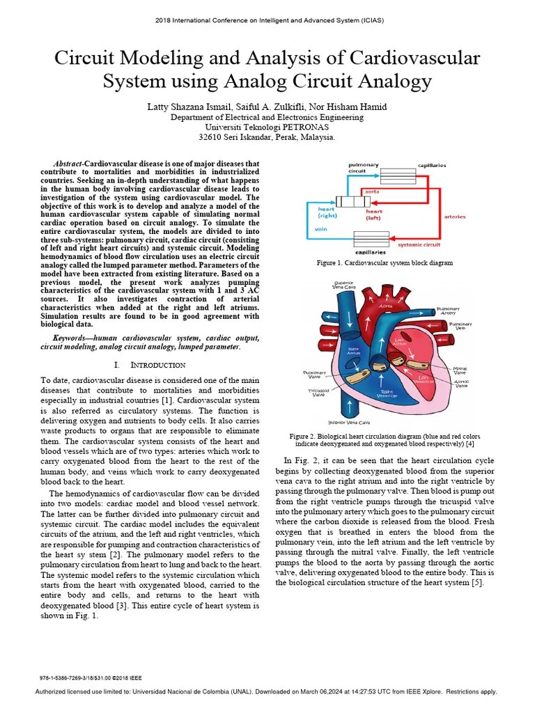 Circuit modeling and analysis of cardiovascular system using analog circuit analogy