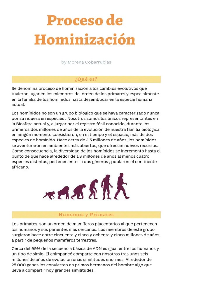 Proceso De Hominización | PDF | Evolución Humana | Evolución