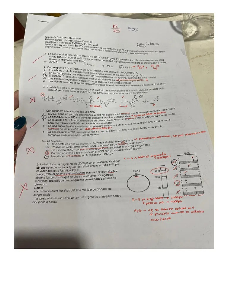 Parciales Resueltos De Biología Celular Y Molecular | Descargar Gratis PDF | Membrana Celular ...