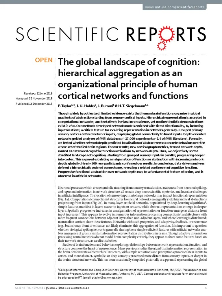 The Global Landscape Of Cognition - Hierarchical Aggregation As An ...