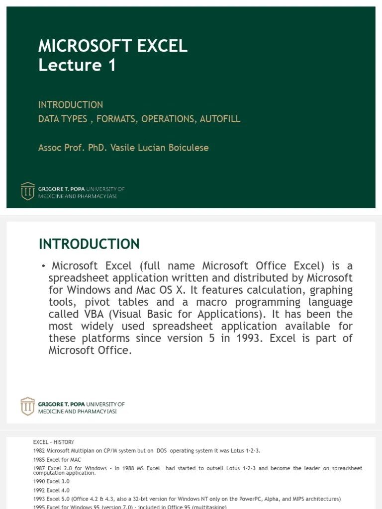 C1 Excel | PDF | Microsoft Excel | Spreadsheet