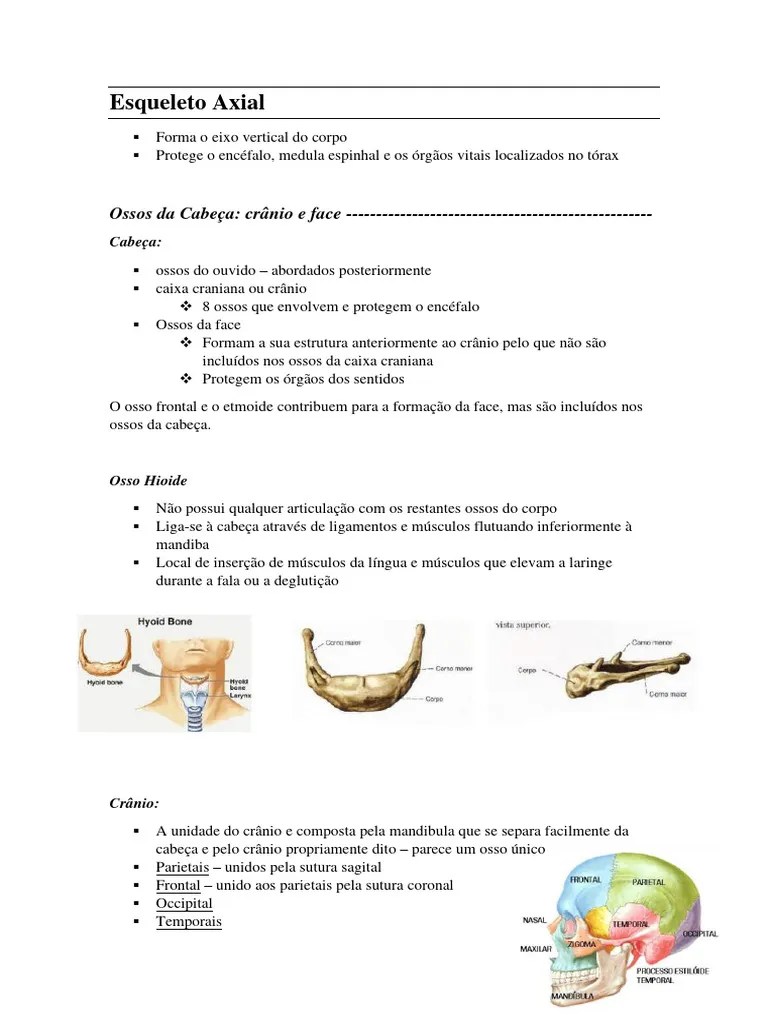 Esqueleto Axial E Esqueleto Apendicular | PDF | Crânio | Vértebra