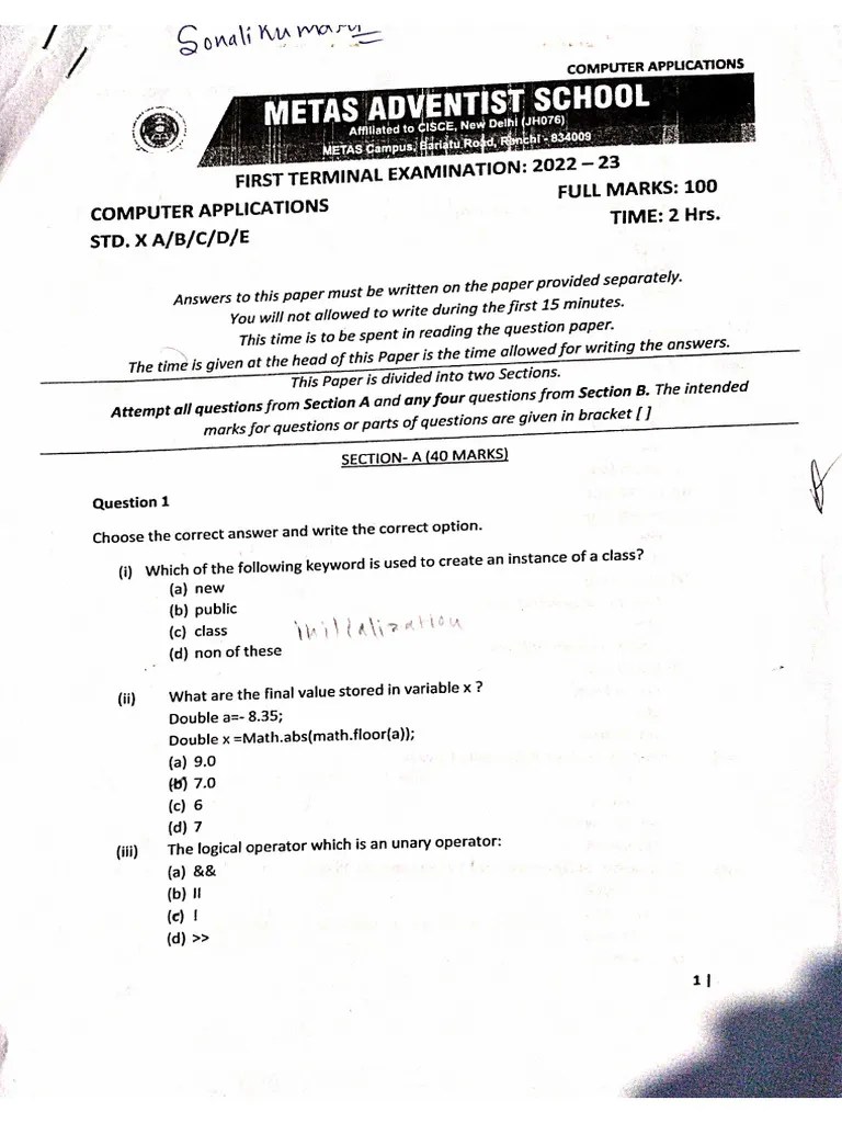 COMPUTER Class 10 | PDF