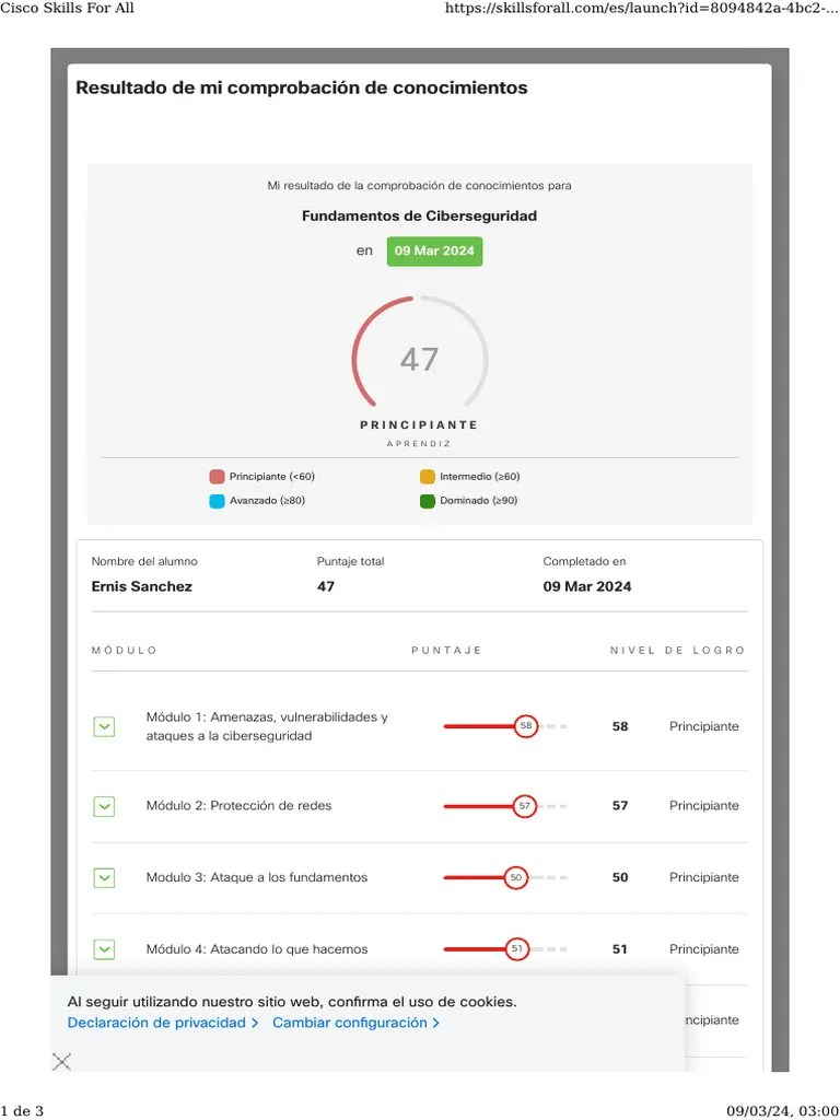 Cisco Skills For All | PDF