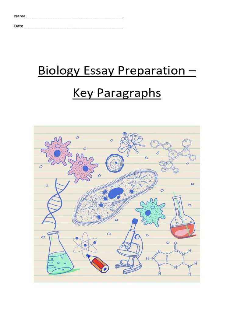 Complete Paragraph Booklet 3 Copy | PDF | Artery | Atrium (Heart)