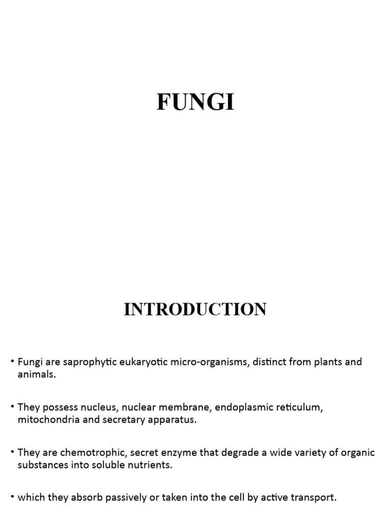 PCT 213 Power Point On Fungi | PDF | Fungus | Cell Wall