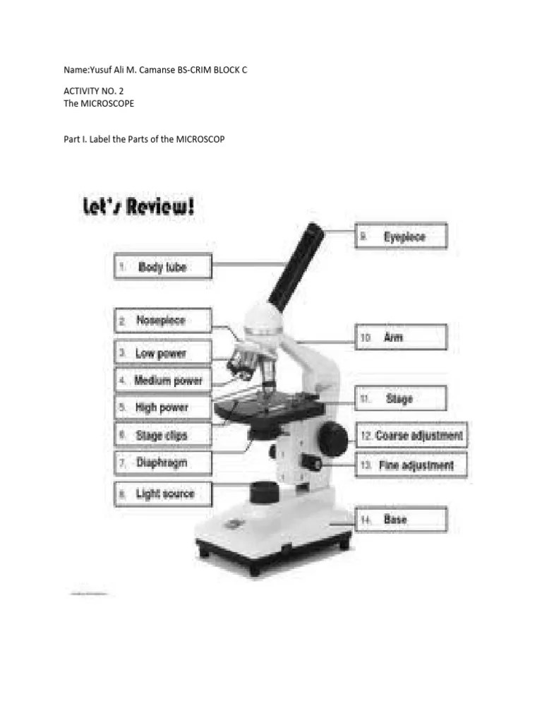 Activity No. 2- The MICROSCOPE | PDF | Microscope | Confocal Microscopy
