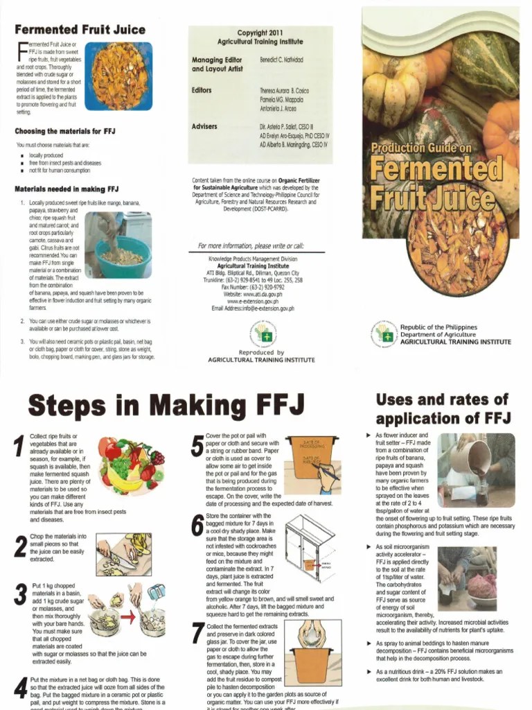 Production Guide On Fermented Fruit Juice Pdf