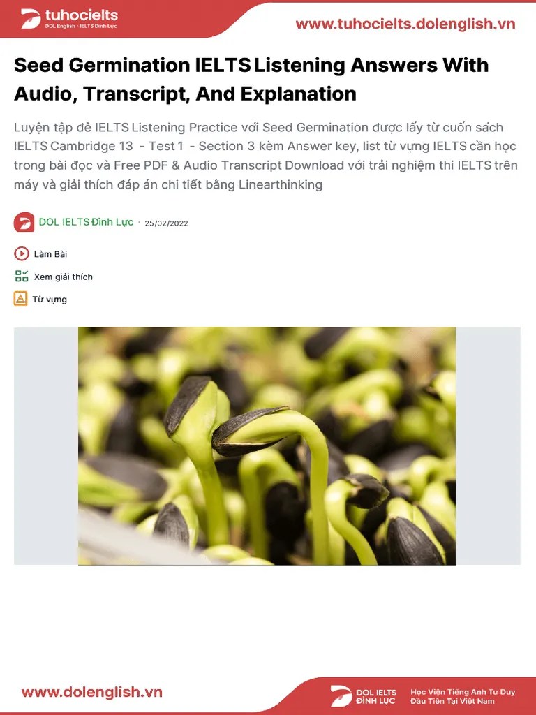 Seed Germination | PDF | Seed | International English Language Testing ...