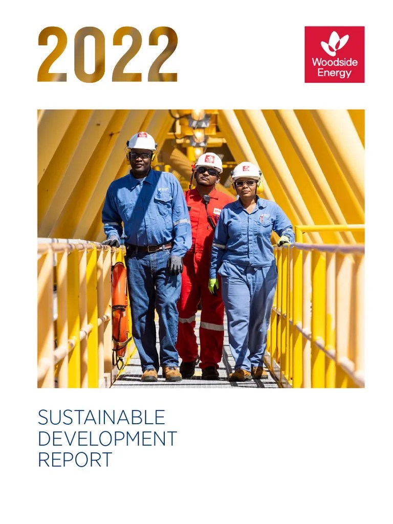 Sustainable Development Report (1) | PDF | Msci | Sustainability