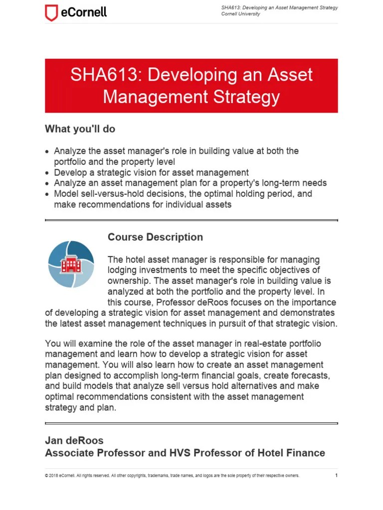 Developing An Asset Management Strategy | PDF | Diversification ...