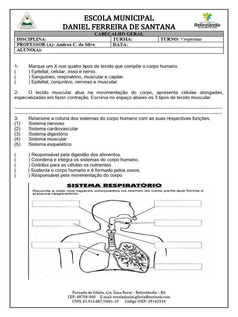 Atividade Ciencias 6 Ano | PDF
