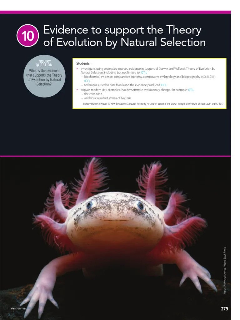 Binsw11 Chapter 10 Evidence To Support The Theory Of Evolution By ...