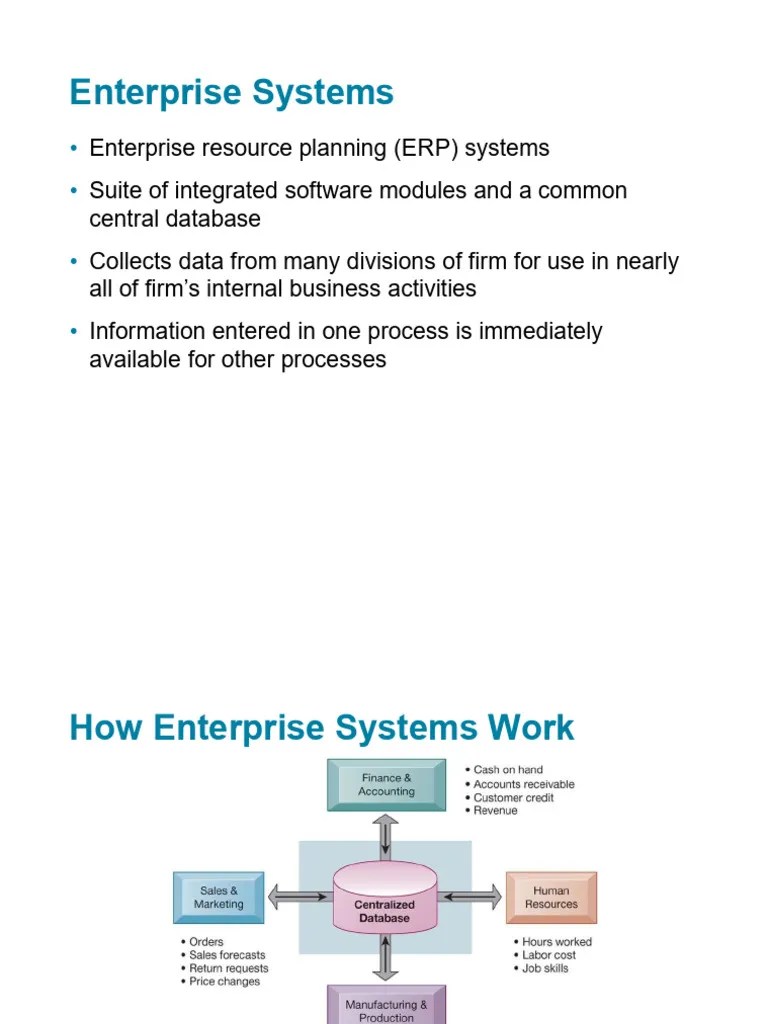 Introduction To Enterprise Systems | PDF | Customer Relationship ...