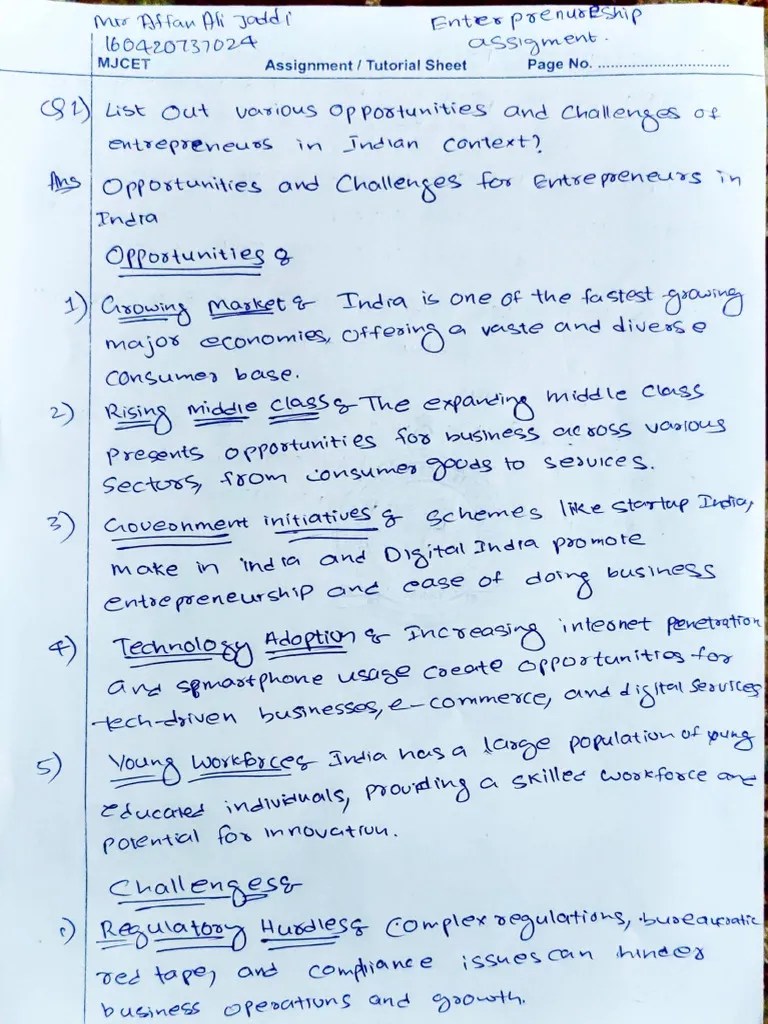 Entrepreneurship Assignment | PDF