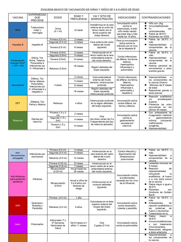 ESQUEMA_BASICO_DE_VACUNACION | PDF | Epidemiología | Enfermedades Animales